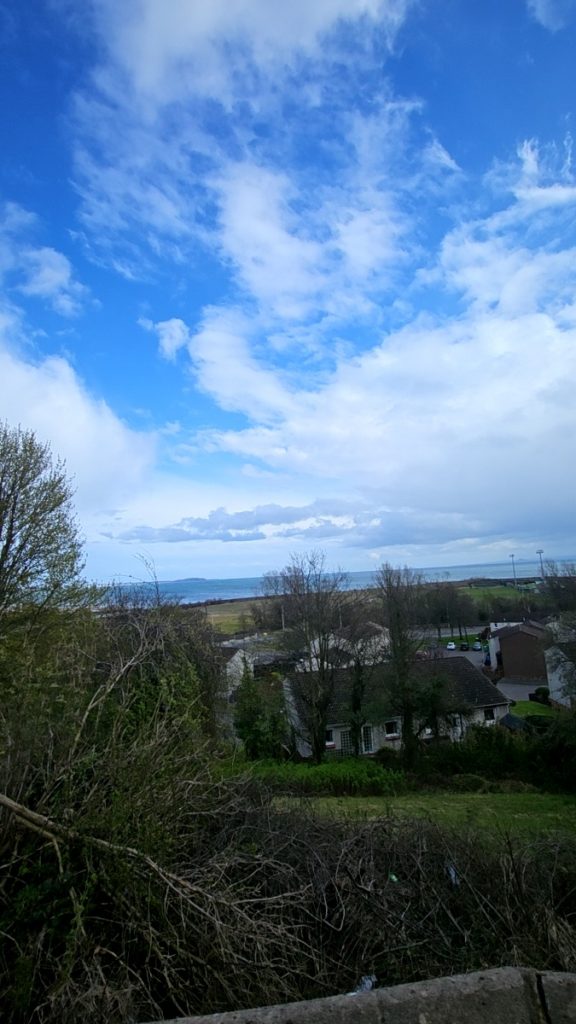 roof repairs in Leven