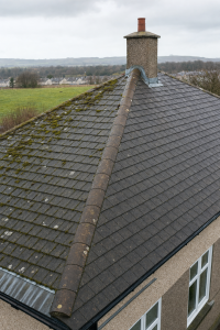 roof moss removal kelty